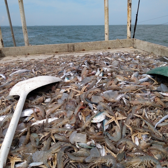 my heart - Picture 4 of 6